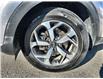 2017 Kia Sportage LX - Bluetooth -  Heated Seats (Stk: H7277033T) in Sarnia - Image 10 of 22
