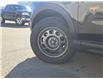 2023 Ford Bronco Sport Badlands (Stk: 230025) in Hamilton - Image 6 of 22