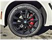 2023 BMW X3 xDrive30i (Stk: 15223) in Gloucester - Image 7 of 18