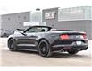 2019 Ford Mustang GT Premium (Stk: 22163DB) in London - Image 10 of 27