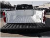 2023 Chevrolet Silverado 1500 LT Trail Boss (Stk: 161074) in London - Image 11 of 28