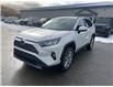 2019 Toyota RAV4 Limited (Stk: NI9740) in Cranbrook - Image 2 of 13