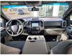 2017 Ford F-150 XLT (Stk: U1172) in Lethbridge - Image 11 of 24