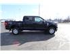 2023 Ford F-150 XLT (Stk: FS38763) in Windsor - Image 8 of 23