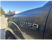 2018 Ford F-150 XL (Stk: U2175) in WALLACEBURG - Image 17 of 23