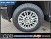2023 Chevrolet Silverado 2500HD High Country (Stk: P1701421) in Mississauga - Image 19 of 27