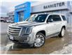 2019 Cadillac Escalade Platinum (Stk: P23-123) in Edson - Image 1 of 20