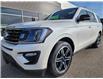 2019 Ford Expedition Limited (Stk: PT3074) in Pincher Creek - Image 1 of 17