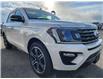 2019 Ford Expedition Limited (Stk: PT3074) in Pincher Creek - Image 8 of 17