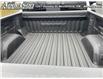 2023 GMC Sierra 1500 Denali (Stk: A3153) in Woodstock - Image 6 of 6