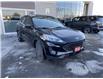 2022 Ford Escape SE HYBRID (Stk: 52838A) in Brampton - Image 8 of 18