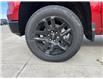 2023 Chevrolet Silverado 1500 LT Trail Boss (Stk: P114) in Blenheim - Image 11 of 23