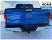2016 Ford F-150  (Stk: F4Y3YX) in Roblin - Image 4 of 22
