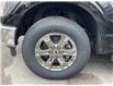 2023 Ford F-150 XLT (Stk: P30171) in Brampton - Image 5 of 15