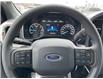 2023 Ford F-150 XLT (Stk: P30171) in Brampton - Image 11 of 15
