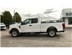 2020 Ford F-250  (Stk: 15612L) in Wyoming - Image 8 of 23