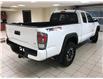 2023 Toyota Tacoma Base (Stk: 826236) in Calgary - Image 9 of 20