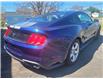 2019 Ford Mustang EcoBoost Premium Coupe (Stk: p21-349a) in Dartmouth - Image 5 of 14