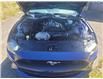 2019 Ford Mustang EcoBoost Premium Coupe (Stk: p21-349a) in Dartmouth - Image 12 of 14