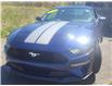2019 Ford Mustang EcoBoost Premium Coupe (Stk: p21-349a) in Dartmouth - Image 13 of 14