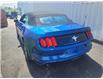 2017 Ford Mustang V6 Convertible (Stk: p22-085) in Dartmouth - Image 5 of 12