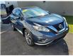 2015 Nissan Murano Platinum AWD (Stk: p22-131) in Dartmouth - Image 7 of 17