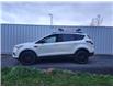 2017 Ford Escape SE 4WD (Stk: p22-208) in Dartmouth - Image 2 of 15