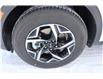 2023 Kia Sportage LX (Stk: 24169) in Edmonton - Image 4 of 18