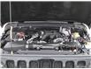 2023 Jeep Wrangler  (Stk: U529861-OC) in Orangeville - Image 8 of 29