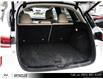 2019 Infiniti QX50 ESSENTIAL (Stk: K252A) in Thornhill - Image 10 of 30