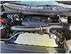 2023 Ford F-150 XLT (Stk: F510) in Miramichi - Image 13 of 13