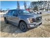 2023 Ford F-150  (Stk: F511) in Miramichi - Image 7 of 14