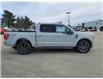 2023 Ford F-150 XLT (Stk: F512) in Miramichi - Image 6 of 14