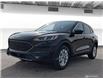 2022 Ford Escape SE (Stk: 92231) in Vegreville - Image 1 of 27