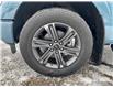 2023 Ford F-150 XLT (Stk: 93018) in Vegreville - Image 8 of 26