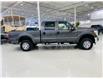 2016 Ford F-250 XLT (Stk: A8170-2) in Saint-Eustache - Image 5 of 35