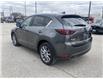 2019 Mazda CX-5  (Stk: UM3079) in Chatham - Image 8 of 25