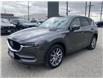 2019 Mazda CX-5  (Stk: UM3079) in Chatham - Image 10 of 25