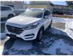2018 Hyundai Tucson  (Stk: 23RG3414A) in Cranbrook - Image 2 of 14