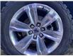 2015 Ford F-150 Lariat (Stk: 22276A) in Melfort - Image 7 of 10
