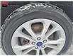 2017 Ford Escape SE (Stk: a23117) in Ottawa - Image 6 of 21