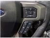 2019 Ford F-150 Raptor (Stk: 23P031) in Kamloops - Image 16 of 26