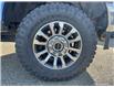 2020 Ford F-350 Lariat (Stk: ZP042A) in Kamloops - Image 6 of 15