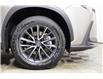 2023 Lexus NX 250 Base (Stk: 14104388) in Markham - Image 8 of 28