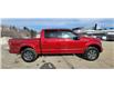 2016 Ford F150  (Stk: F454B) in Miramichi - Image 6 of 13