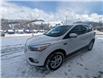 2019 Ford Escape SE (Stk: 10320) in Golden - Image 12 of 15