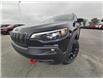 2022 Jeep Cherokee Trailhawk (Stk: N00644) in Kanata - Image 3 of 28