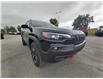 2022 Jeep Cherokee Trailhawk (Stk: N00644) in Kanata - Image 11 of 28