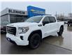 2020 GMC Sierra 1500 Elevation (Stk: 3B005A) in Blenheim - Image 1 of 18
