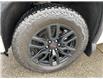 2020 GMC Sierra 1500 Elevation (Stk: 3B005A) in Blenheim - Image 7 of 18